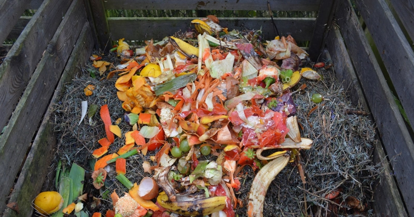 Cara membuat pupuk kompos dari sampah dapur