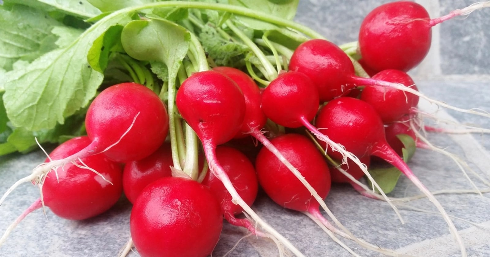 Cara memulai berkebun sayur di rumah